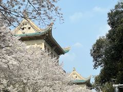 -武汉大学-樱园
