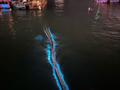 -东极岛景区