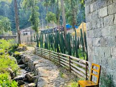 -MOJ coffee(瓯海泽雅水碓坑店)