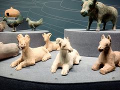 -广西壮族自治区博物馆