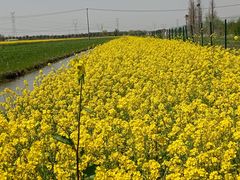 -嘉北郊野公园