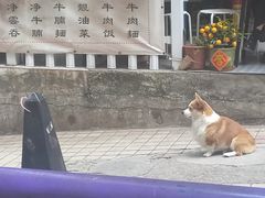 -小梁哥云吞面(黄贝岭店)