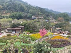 -广东天露山旅游度假区