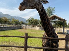 -西安秦岭野生动物园