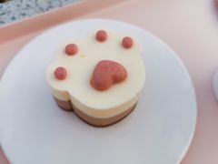 -喵屿·大理花园猫咖