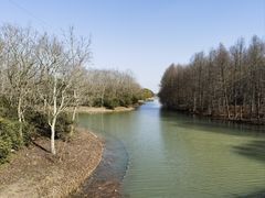 -上海海湾国家森林公园