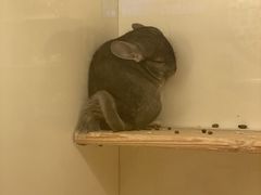 -龙猫仔乐园(惠福东路店)