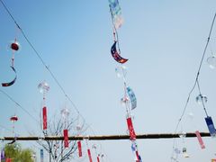 -北京西山国家森林公园