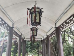 -荔湾湖公园