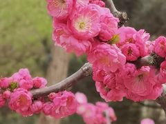 -朝阳公园