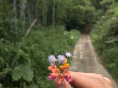 -彩虹桥宠物火化殡葬善终服务(金乐大厦店)