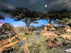 -国家自然博物馆