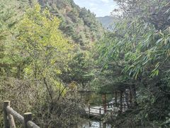 -王顺山国家森林公园