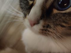 -白兔子密室(长寿路店)