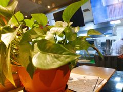 -延边丰茂串城(东三店)