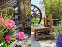 -慢丽江·云南野生菌土鸡锅(付家庄店)