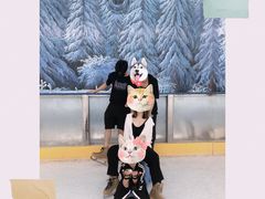 -世界之窗阿尔卑斯冰雪世界