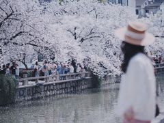-常熟方塔园