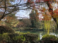 -西湖外事游船(花港观鱼码头)