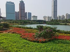 -万绿园