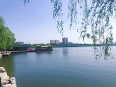 -济南大明湖景区