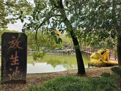 -大智禅寺-售票处