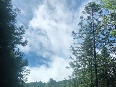 -武陵山森林公园