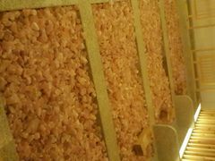 -热带雨林汗蒸馆(汶水东路店)