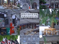 -空港花田景区