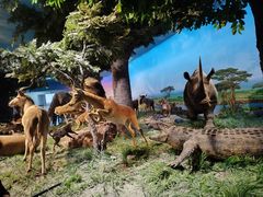 -国家自然博物馆