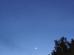 -洋湖国家湿地公园
