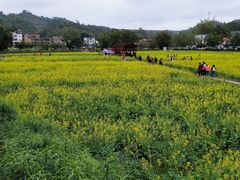 -红山村