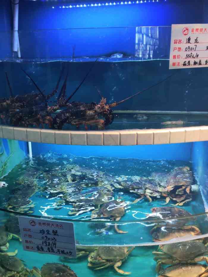 金鲤鱼大酒店(工业园区店)-"环境还不错,外面的招牌看上去丑,里面环境