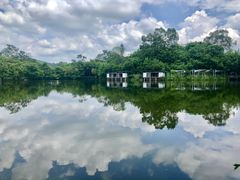 -老木棉·匠园