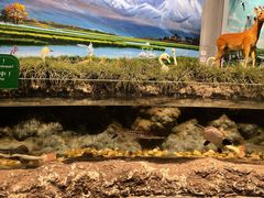 -中国湿地博物馆