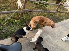 -白鹭湾湿地公园