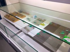 -提一眼镜·蔡司·依视路(小寨店)