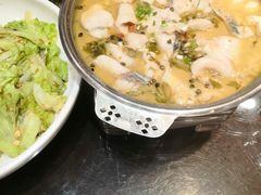 -刘胖子家常菜·蹄花焖藕(中南店)