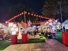 -岭南站NOVA