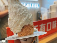 -野人先生现做冰淇淋(西安赛格店)