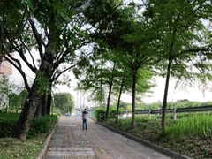 -深圳湾公园(南山区)