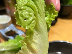 -土大力韩式烤肉料理(和平路店)