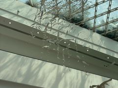 -中国湿地博物馆