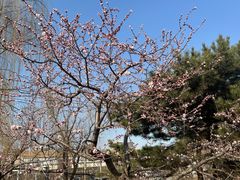 -元大都城垣遗址公园