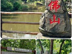 -茅兰沟国家森林公园