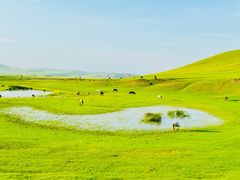 -莫日格勒旅游景区