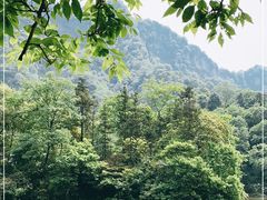 -青城山
