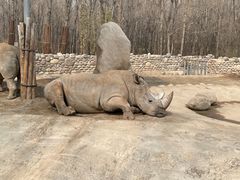 -北京野生动物园