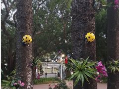 -人民公园(罗湖区)