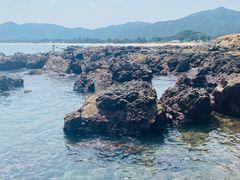 -西涌国际滨海旅游区